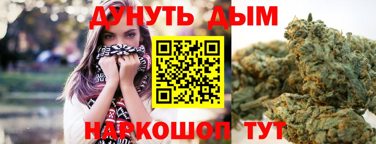 Канабис сатива Морозовск